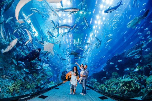 Dubai Aquarium