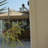 Ras Al Khaiman Pool Villas - Image 3