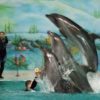 Dolphin Show - Image 3