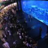 Dubai Aquarium - Image 3